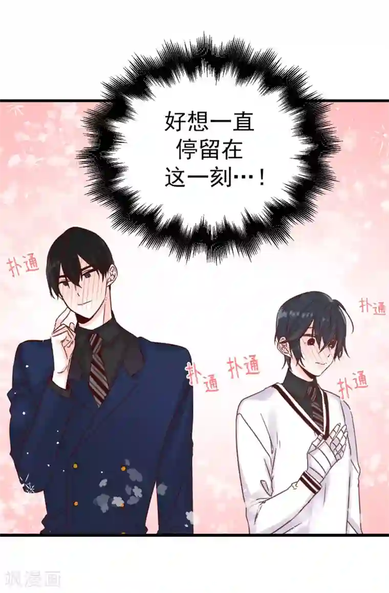 angelababy弯腰看到奶第63话 最幸福的时光