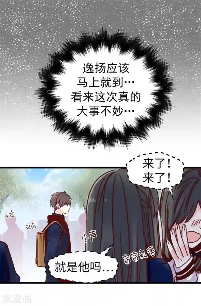 蔷薇恋人第67话 四角关系