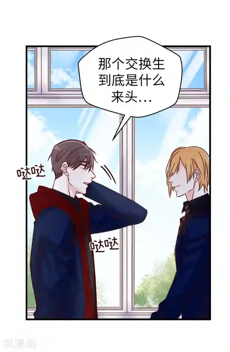 蔷薇恋人第67话 四角关系