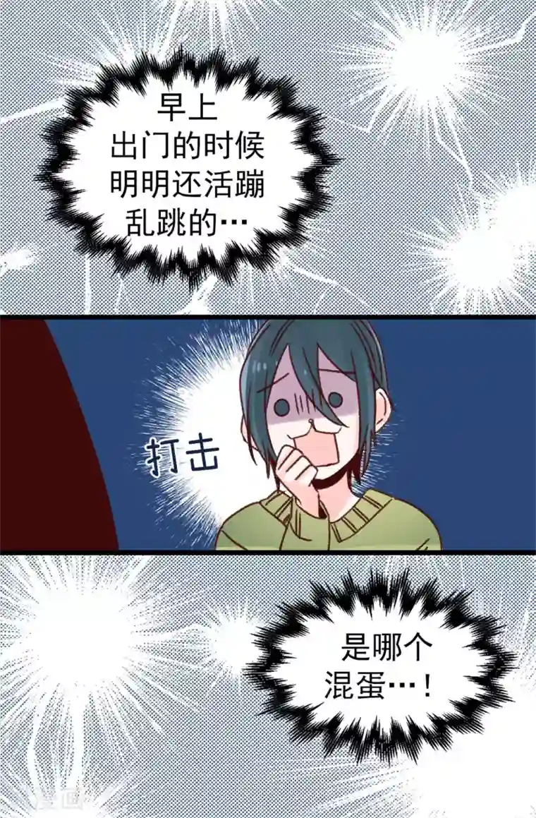 蔷薇恋人第71话 女王的枷锁