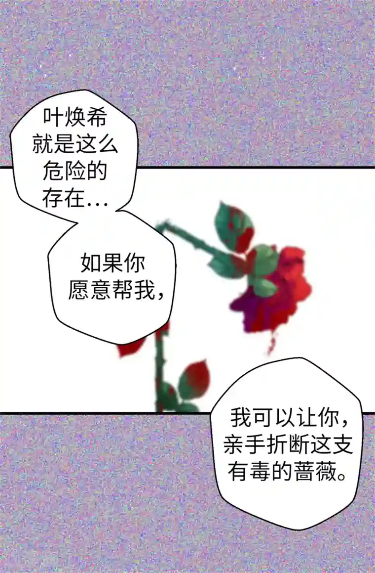 蔷薇恋人第78话 被诗莹误会了