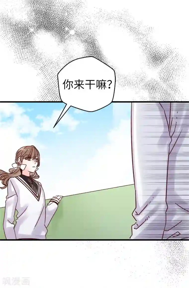 蔷薇恋人第79话 你会担心我？