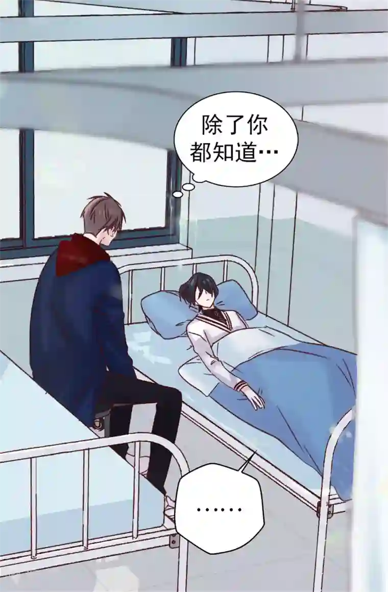 蔷薇恋人第84话 对不起...焕希...