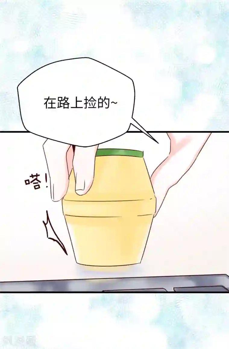 蔷薇恋人第86话 清醒一点