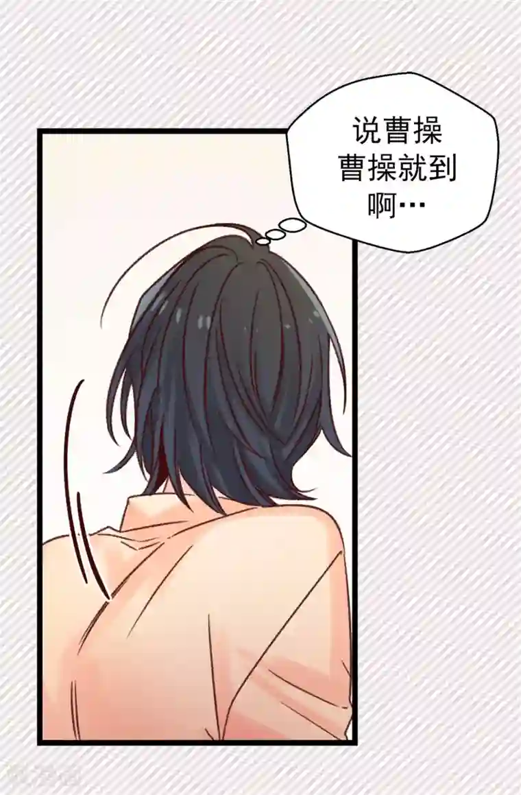 蔷薇恋人第87话 说曹操，曹操就到