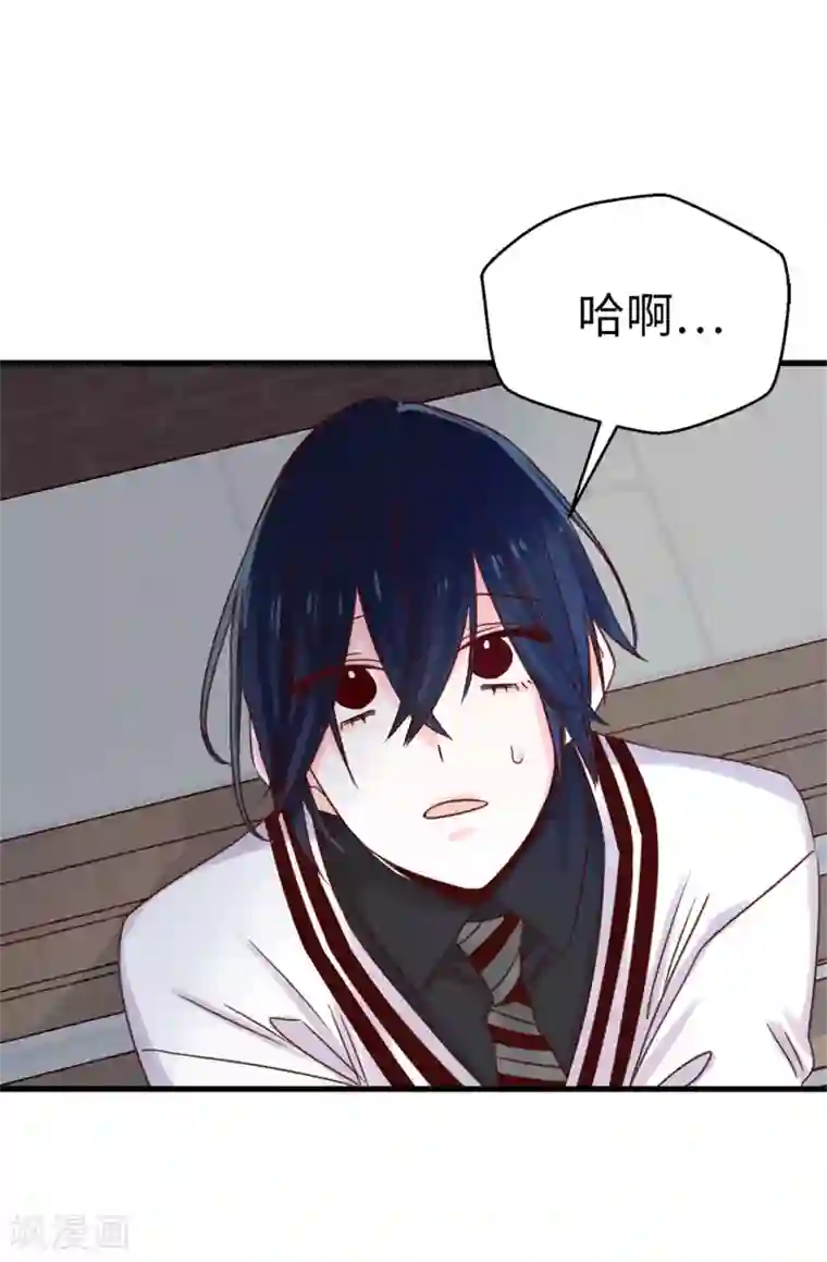 蔷薇恋人第94话 第一次见面