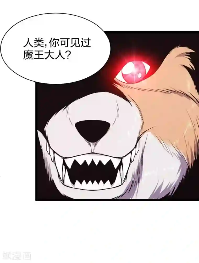 极品魔王血量低第14话 魔犬柯基，参上！