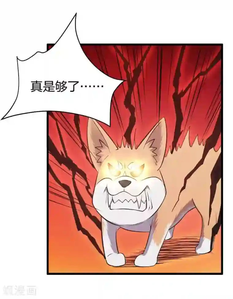 极品魔王血量低第14话 魔犬柯基，参上！