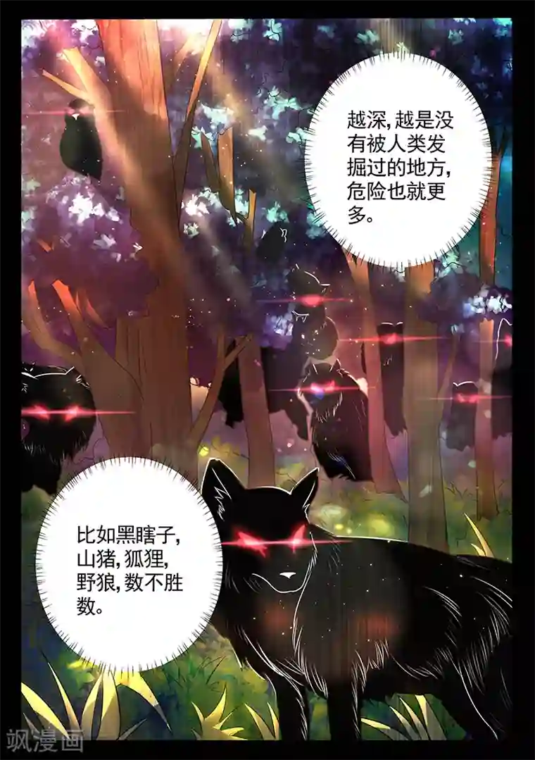 超级神医系统第11话 进山