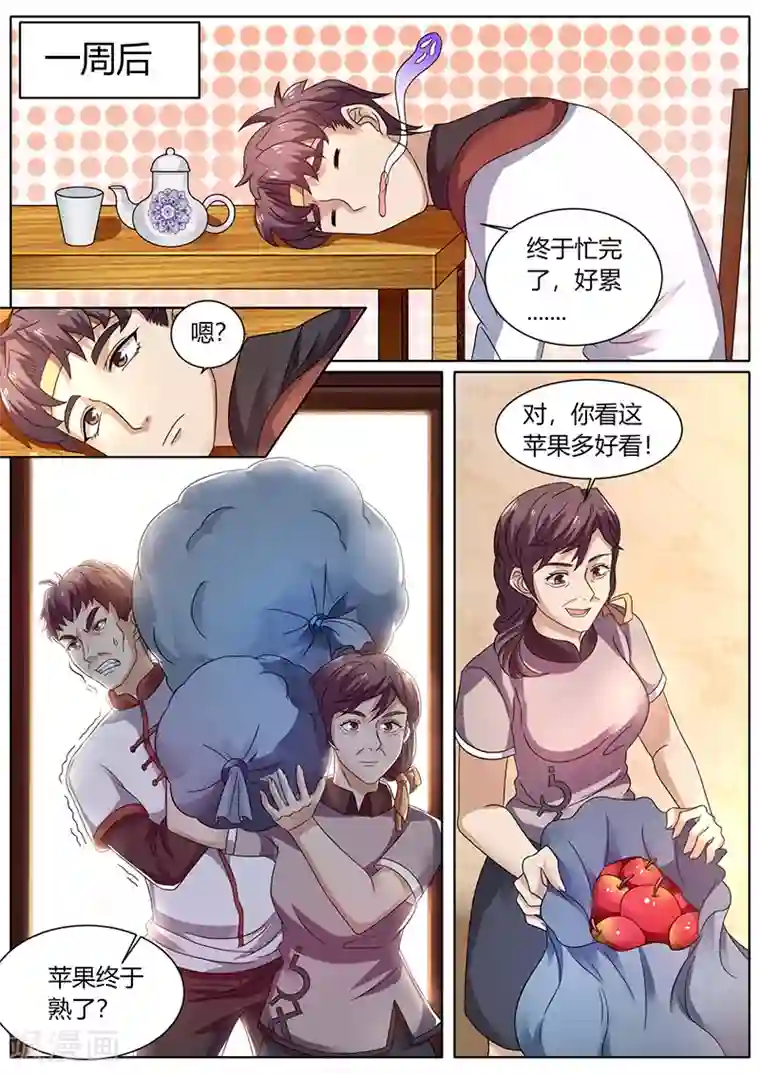 超级神医系统第59话 十元一个的苹果