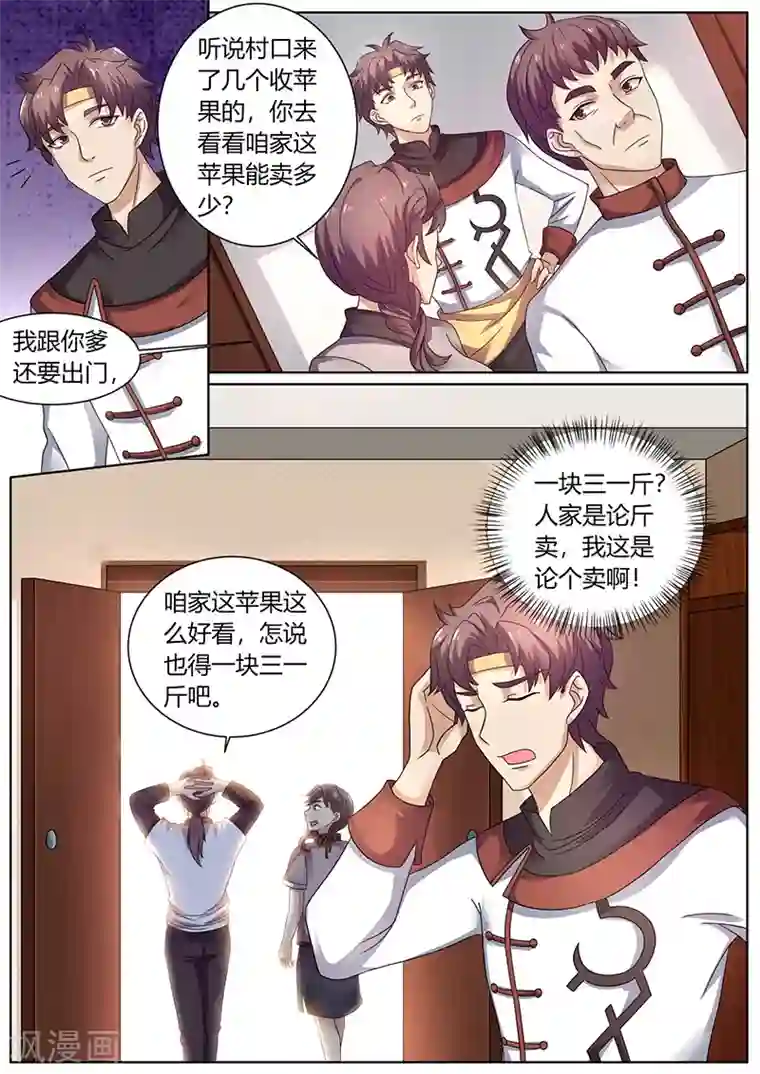 超级神医系统第59话 十元一个的苹果