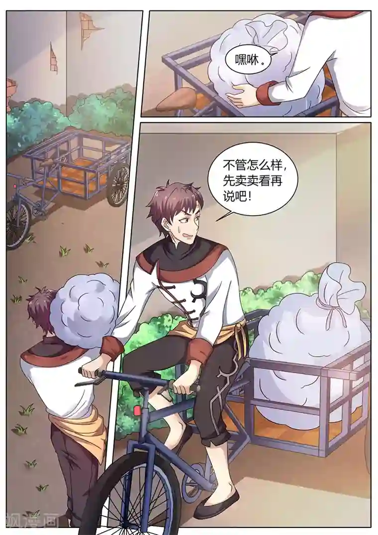 超级神医系统第59话 十元一个的苹果