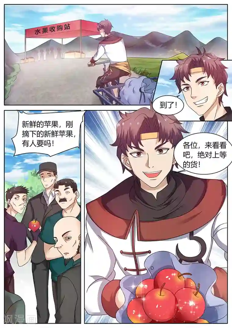 超级神医系统第59话 十元一个的苹果