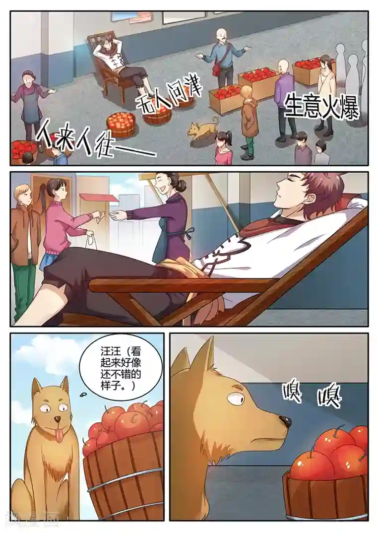 超级神医系统第64话 进城