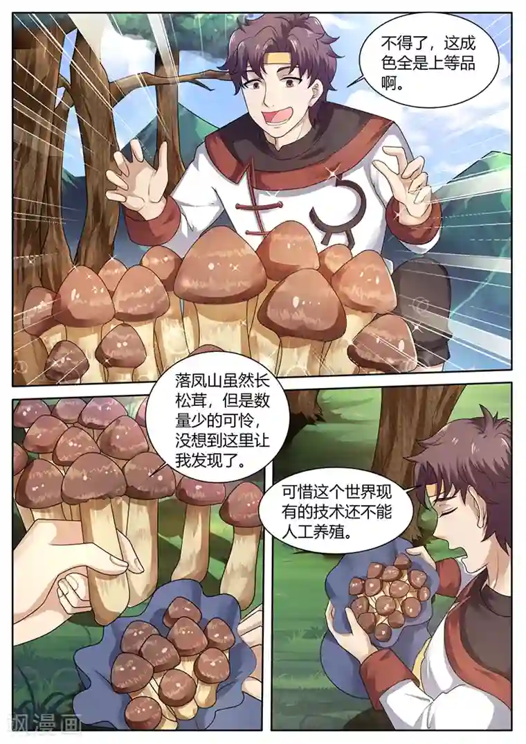 超级神医系统第73话 培植松茸