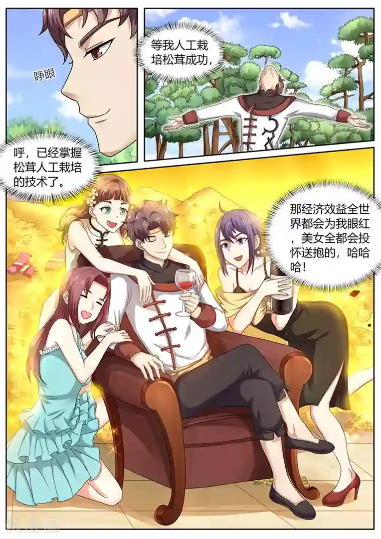 超级神医系统第73话 培植松茸