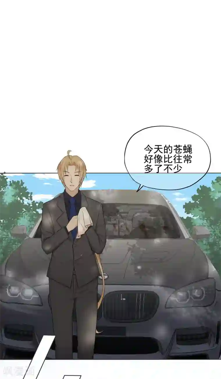 星动甜妻夏小星第25话 记忆深处的恐惧