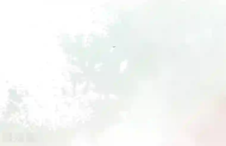 星动甜妻夏小星第43话 离别，新生