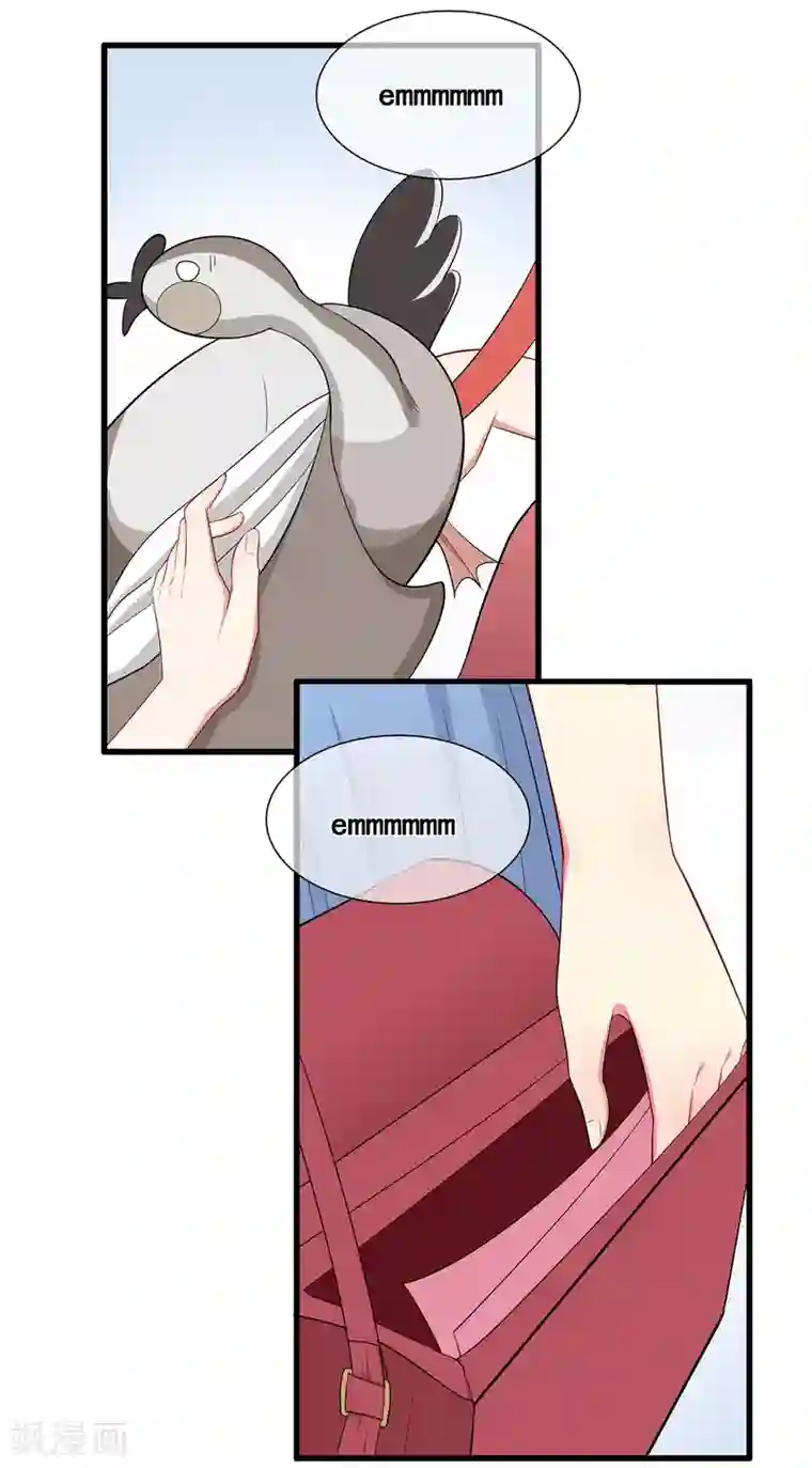 星动甜妻夏小星第49话 星星子与希希美的日常