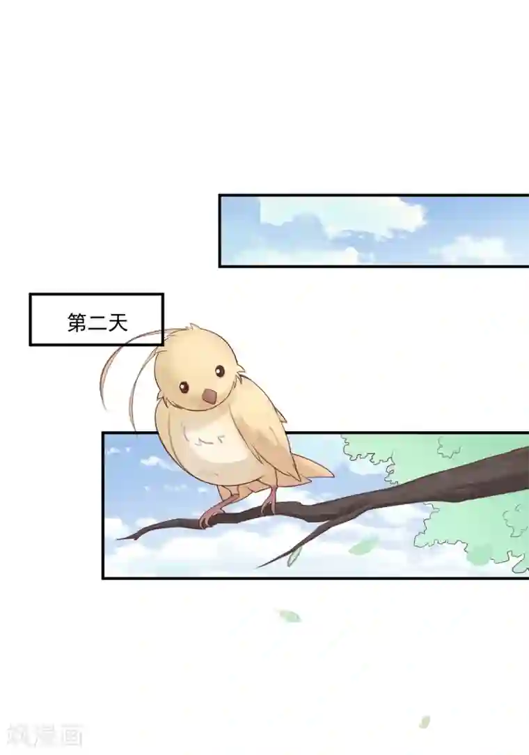 星动甜妻夏小星第67话 周末之行