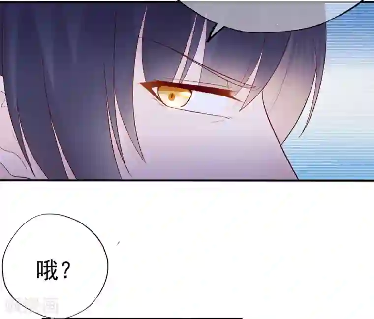 星动甜妻夏小星第93话 峰会召开