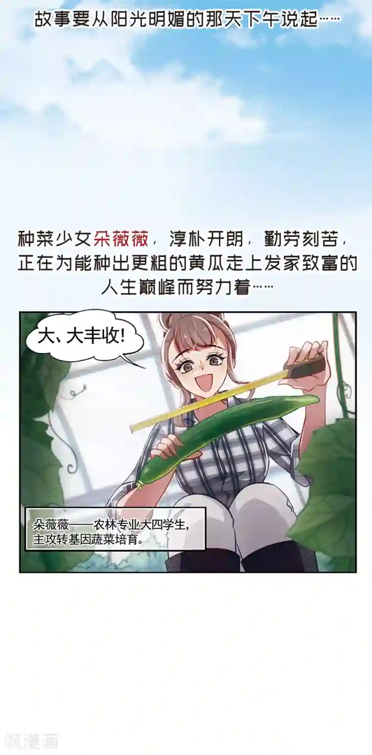 总裁在哪儿序章