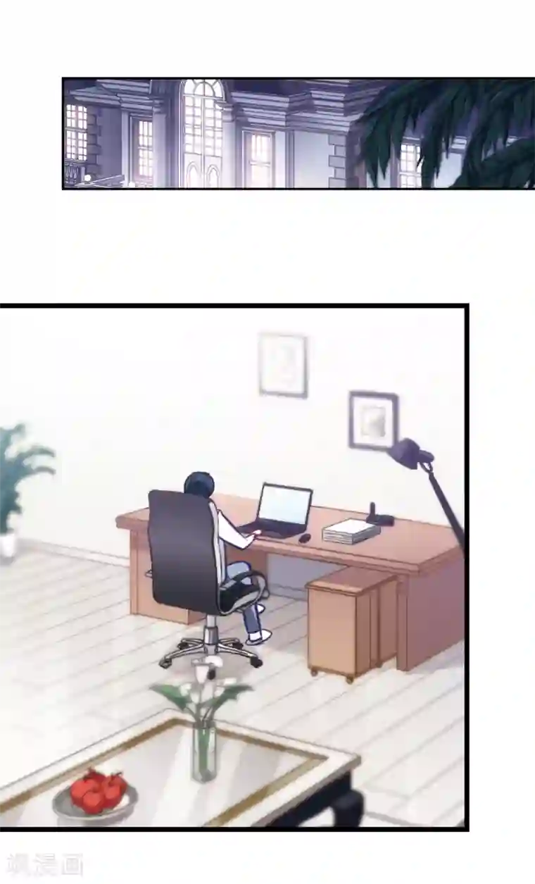 总裁在哪儿第15话 毛里求斯