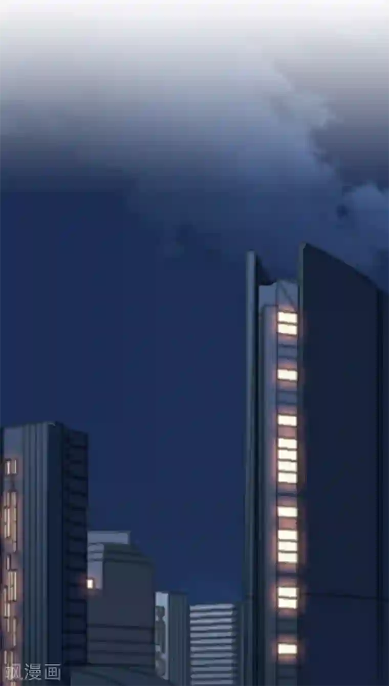 总裁在哪儿第15话 毛里求斯