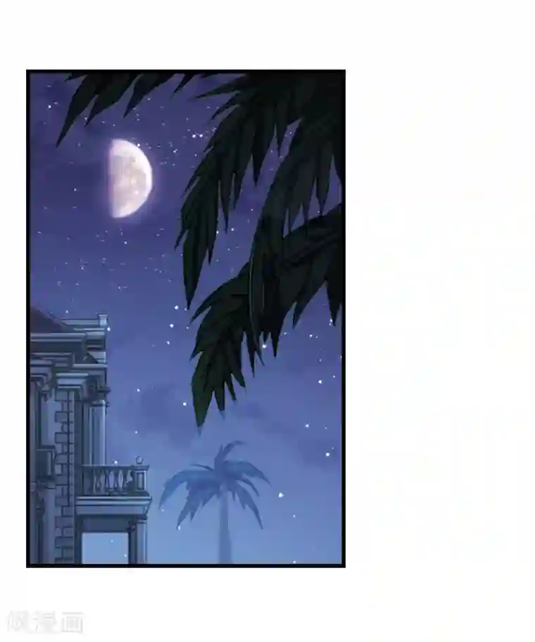 总裁在哪儿第19话 带刺的夜晚