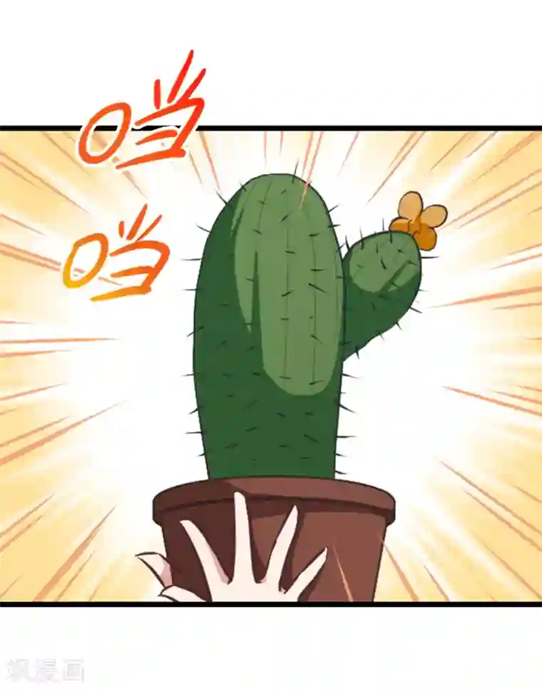 总裁在哪儿第19话 带刺的夜晚