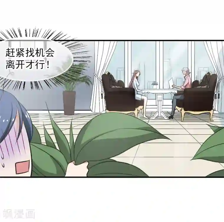 总裁在哪儿第36话 玩脱了