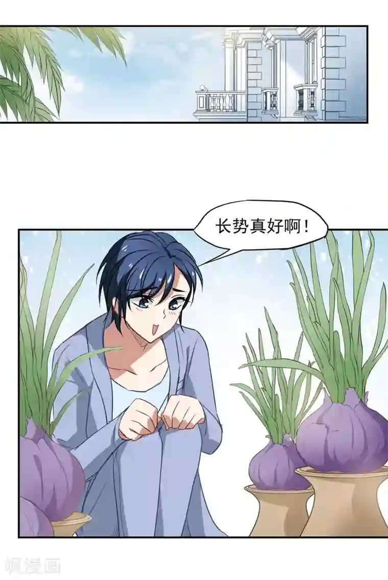 总裁在哪儿第50话 总裁被绑架