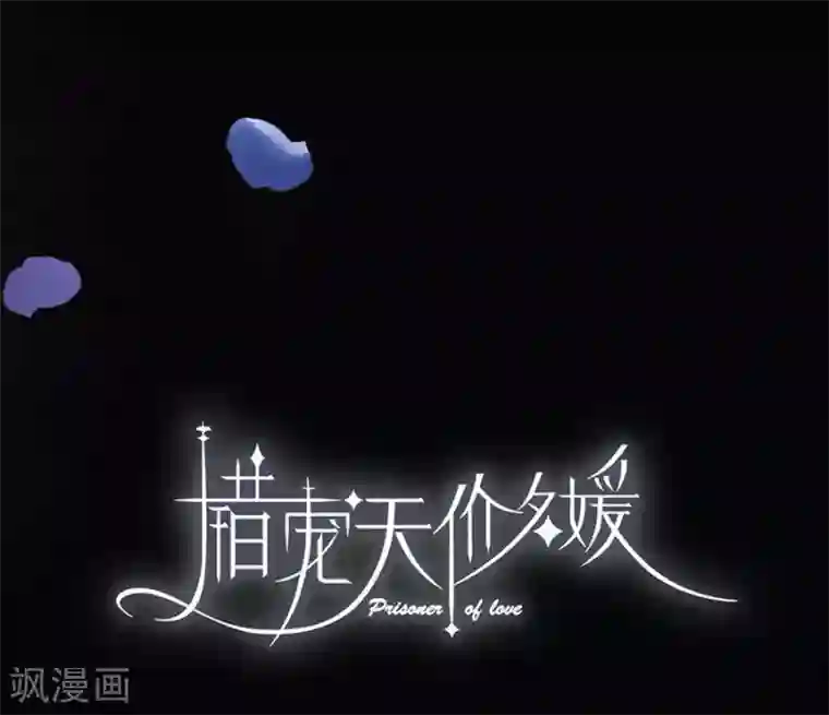 错宠天价名媛第17话