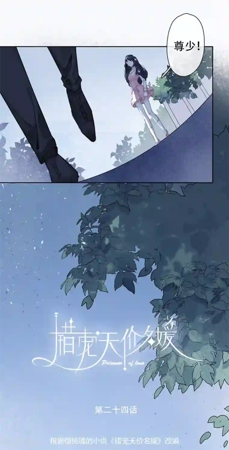 错宠天价名媛第24话