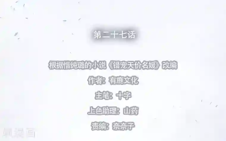 错宠天价名媛第27话