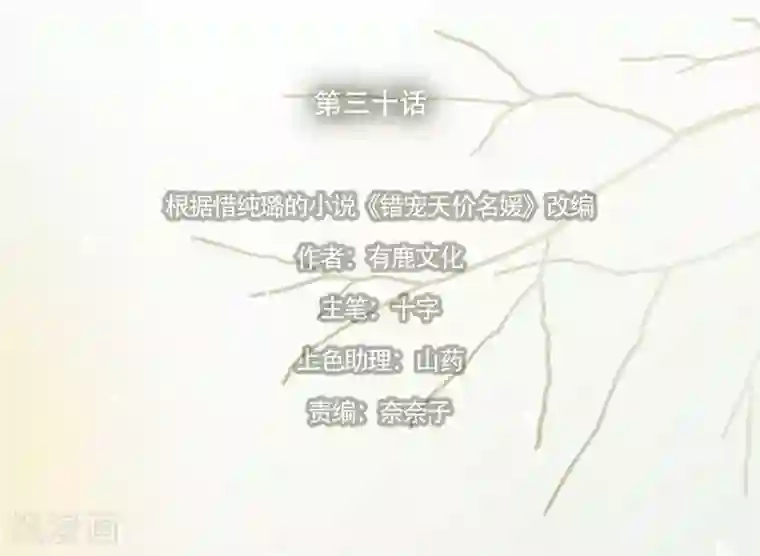 错宠天价名媛第30话