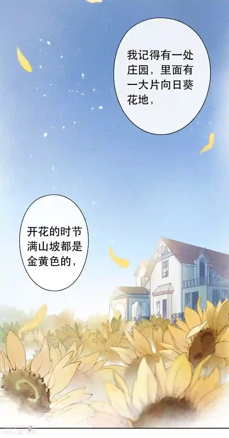 错宠天价名媛第38话