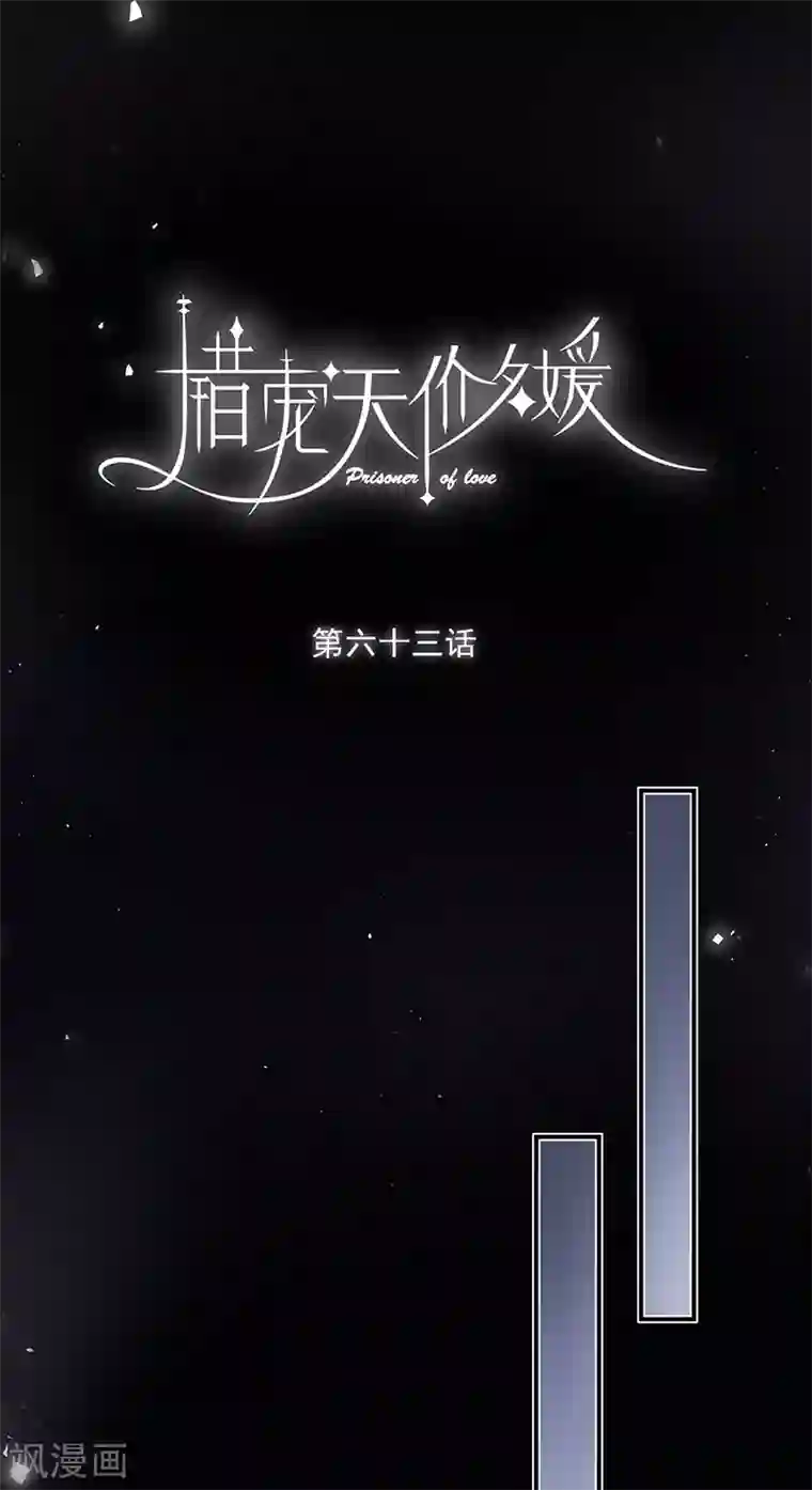 错宠天价名媛第63话