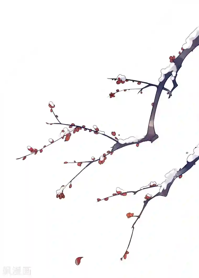 九阙风华第1话 前世