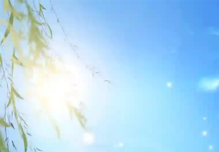 九阙风华第12话 流芳文会