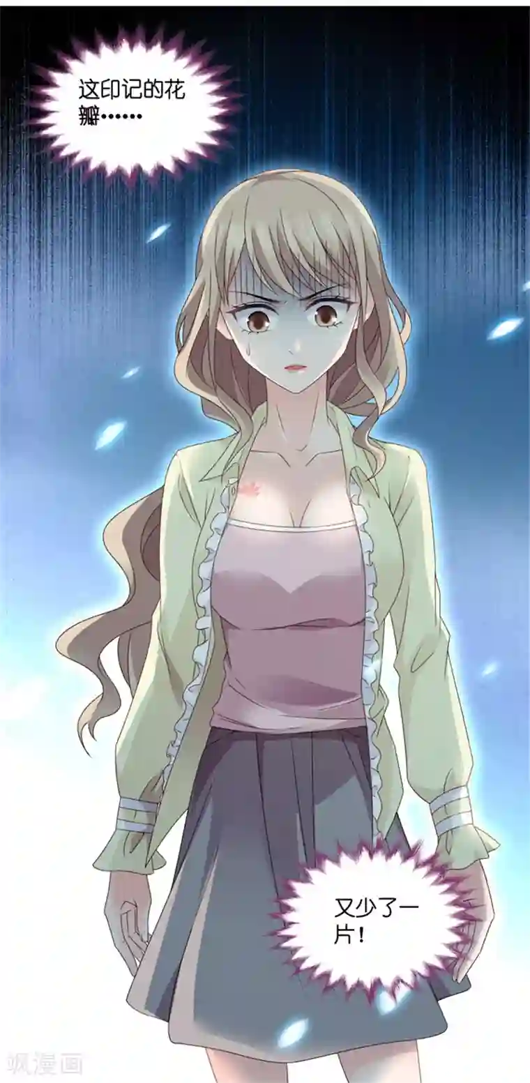 昙华影梦第53话 杀青4