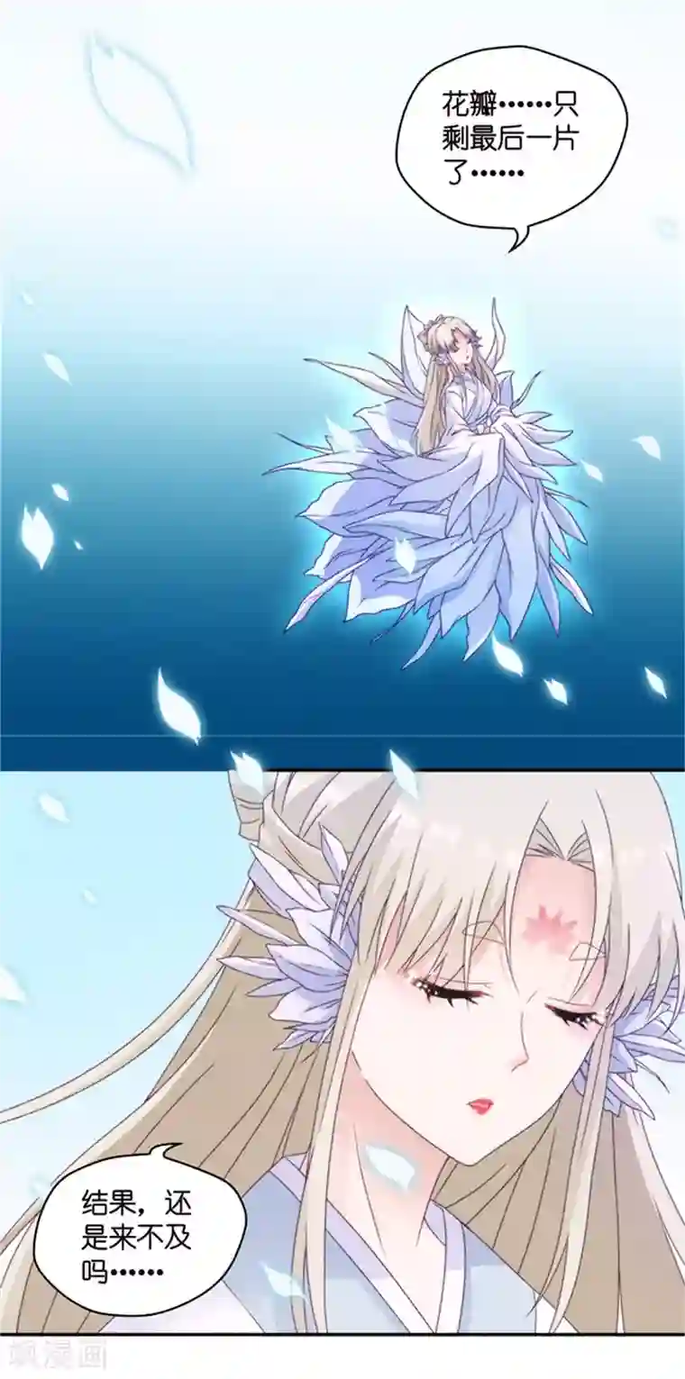 昙华影梦第91话 阴谋乍现8