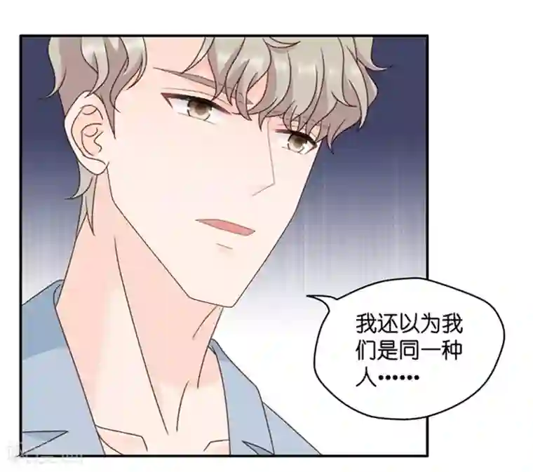 昙华影梦第95话 阴谋乍现12