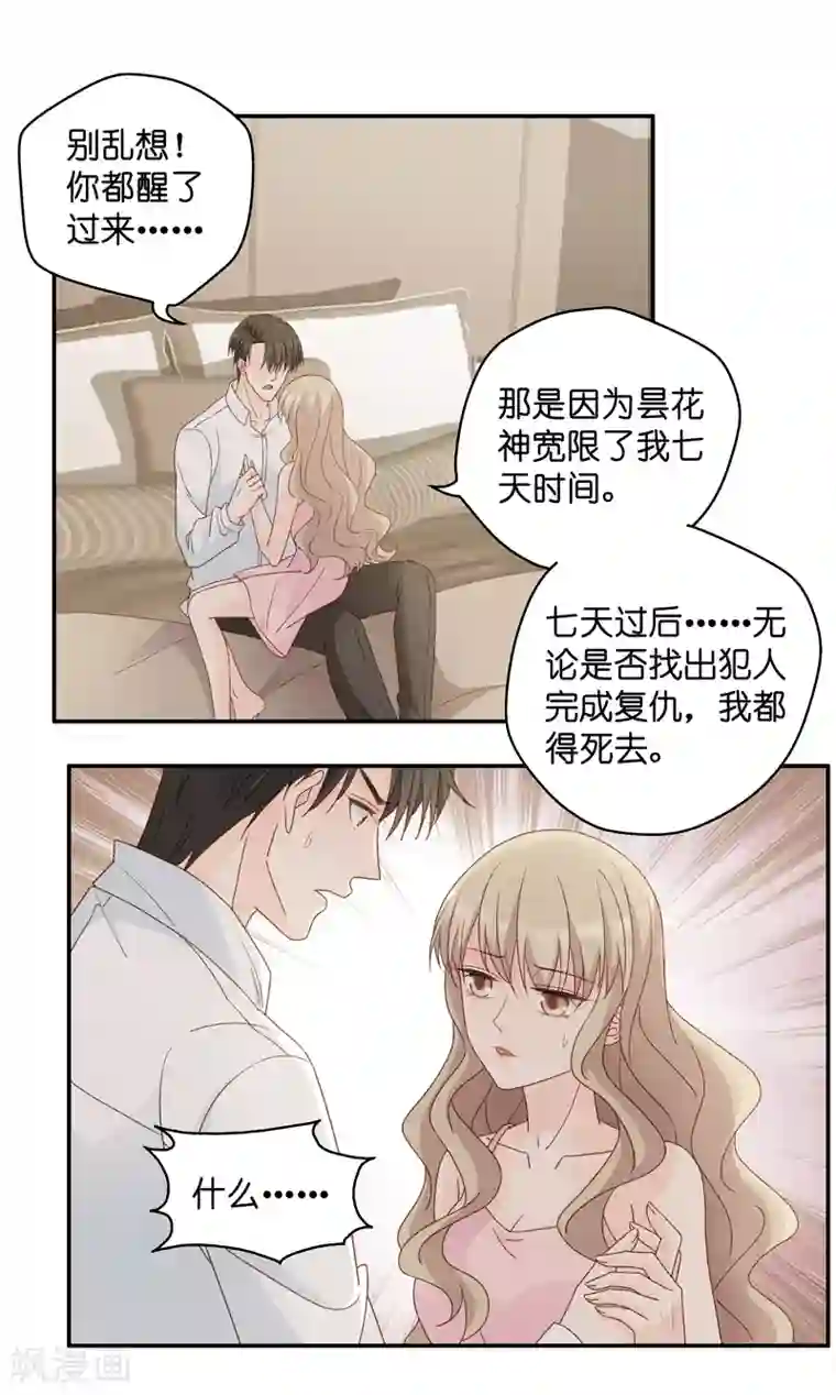 昙华影梦第112话 迷雾重重5