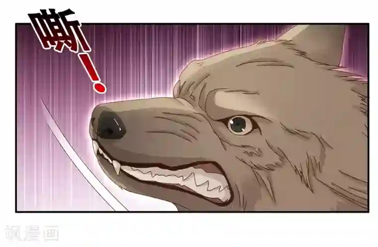 昙华影梦第122话 惊天破日5