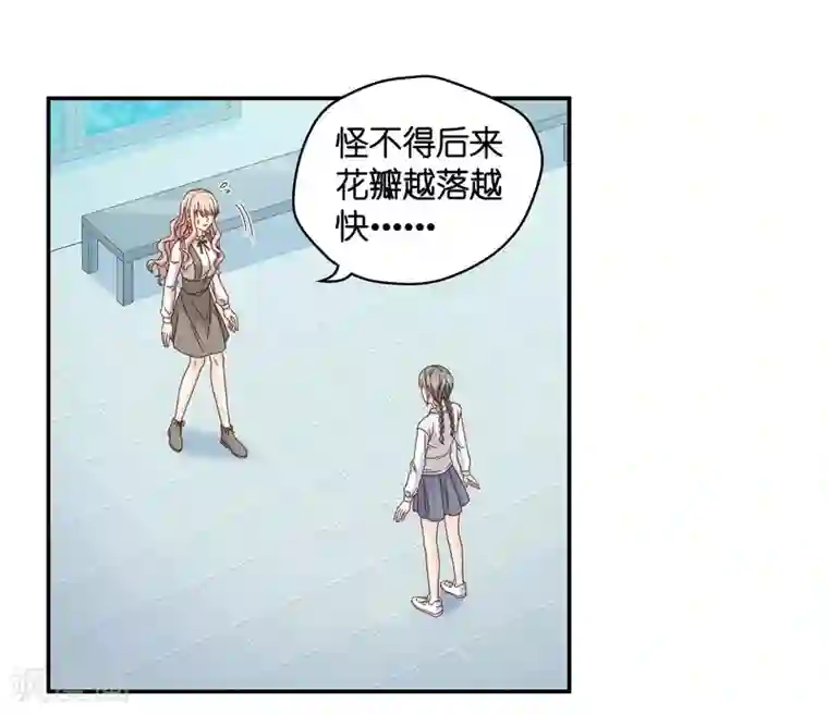 昙华影梦第128话 爱与未来1