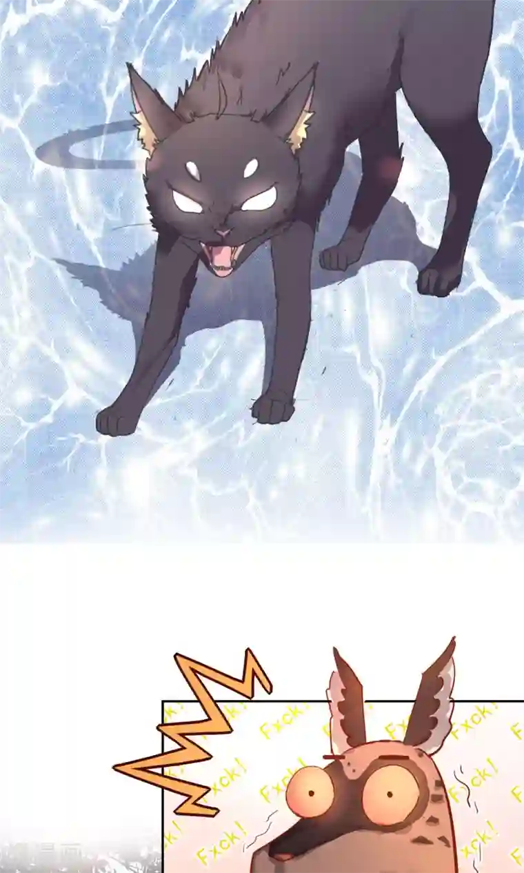 妖怪法则第2话 变种妖怪？