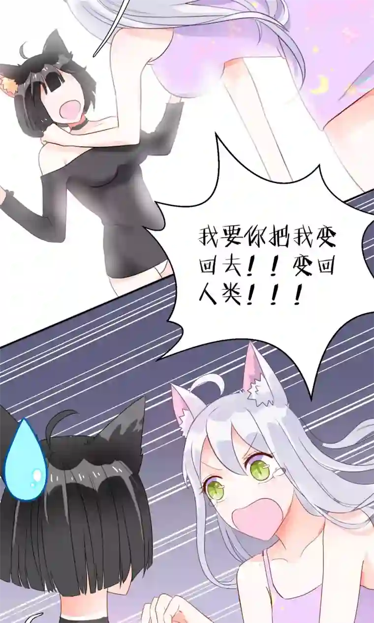 妖怪法则第3话 兽娘你好萌