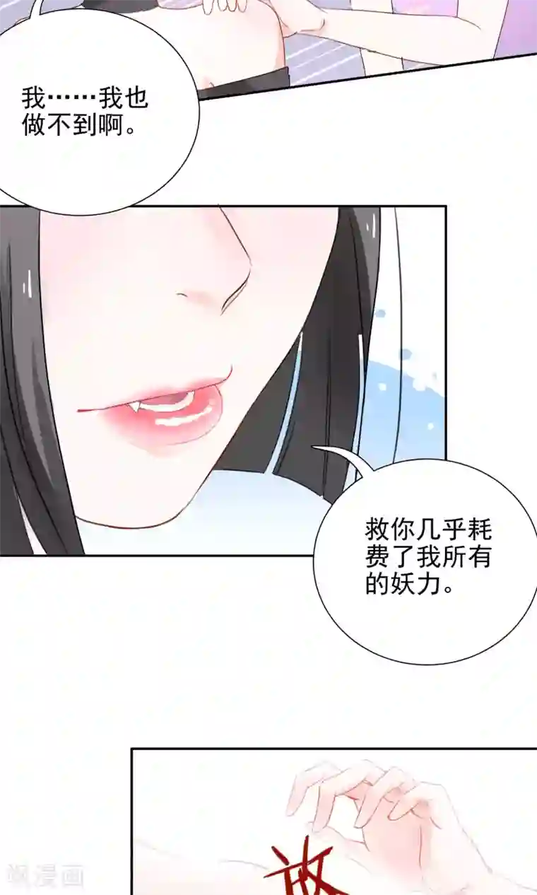 妖怪法则第3话 兽娘你好萌