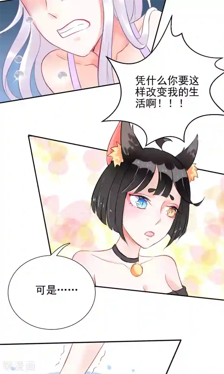 妖怪法则第3话 兽娘你好萌